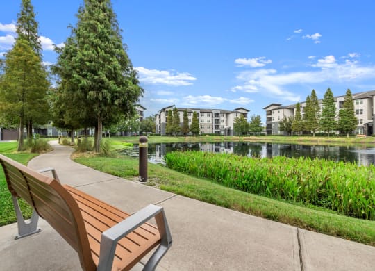 a park bench overlooking a lake with apartment buildings in the background