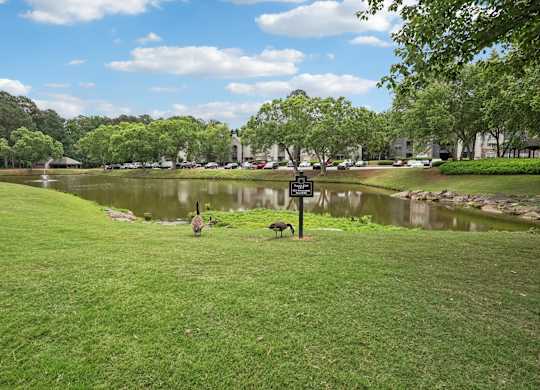 A park with a pond and a sign.