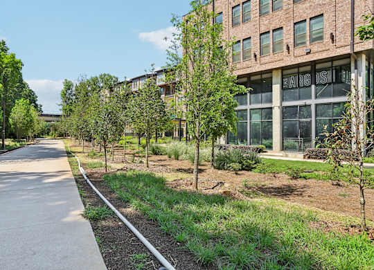 Apartment right in front of the Beltline in Atlanta- The Argos Apartments. Apartment steps away from the beltline Atlanta.