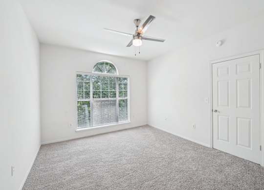 A great naturally lighted room with carpet, a ceiling fan and a window.