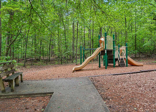 A playground with a slide and a bench in a wooded area.