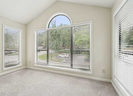 A large and bright Sun room