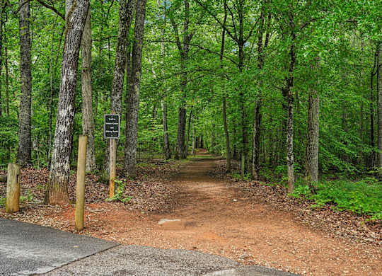 Trail in wooded area.