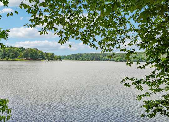 Sweetwater Creek Park