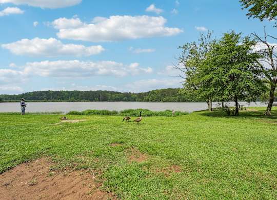 Sweetwater Creek Park