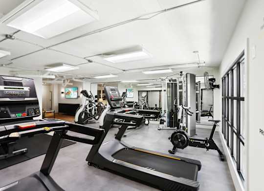 A gym with treadmills, exercise bikes and other equipment.
