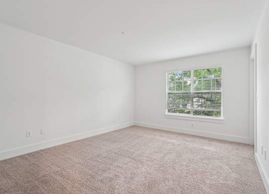 Bedroom with carpet and window
