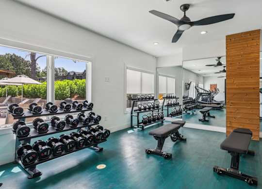 A gym with a row of dumbbells on the left and a mirrored wall on the right.