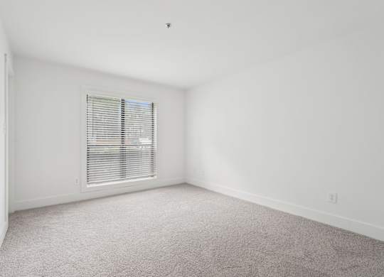 A large bedroom with a carpeted floor and a window