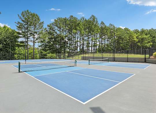 A tennis court surrounded by a fence and trees.