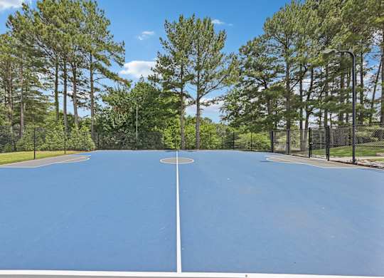 A court surrounded by trees.