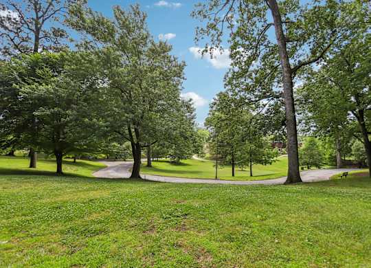 A park with a pathway and trees.