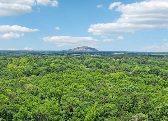 Arabia Mountain National Heritage area