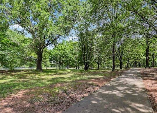 A tree-lined walkway in a park.