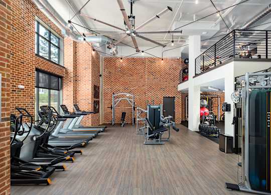 A gym with treadmills, weights and exercise machines.