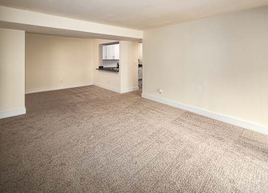 A room with a carpeted floor and a window.