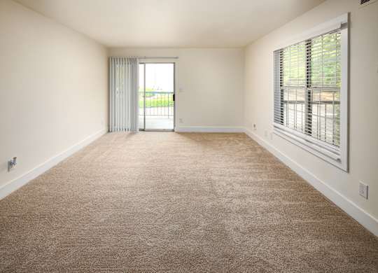 A room with a carpeted floor and a sliding glass door.