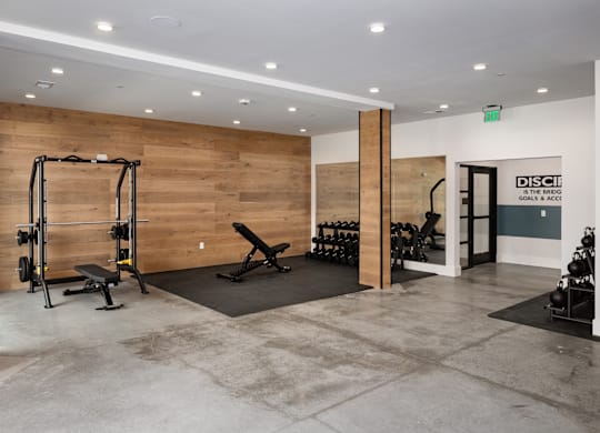 A gym with a variety of equipment including weights, including dumbbells, squat rack, kettlebells,  smith machine, SKI machine, and a bench.