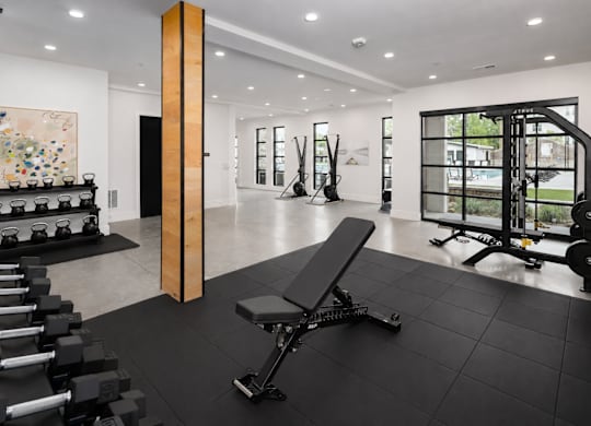 A gym with a variety of equipment including weights, including dumbbells, squat rack, kettlebells,  smith machine, SKI machine, and a bench.