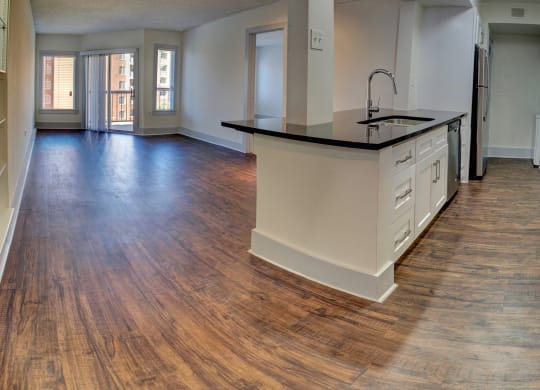 Luxury Apartments in Buckhead | Wesley Townsend Apartments |Entertaining Kitchens