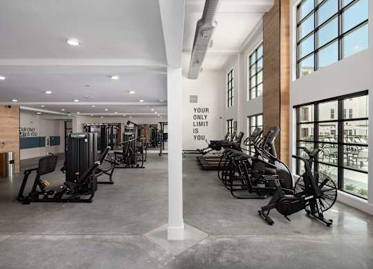 a gym that fits all your needs for any HIIT workout with ellipticals, free weights,treadmills, yoga mats, leg press, smith machine, and motivation