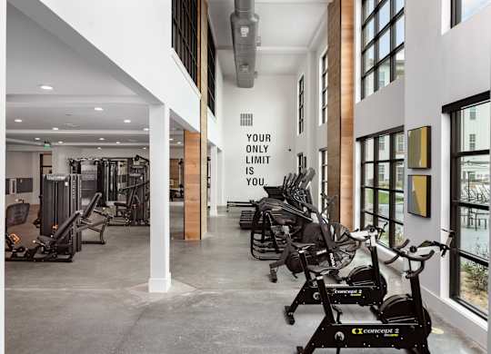 a gym with excess space, a great view, and any equipment you can think of