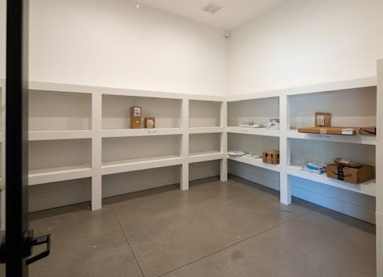 Secure surveilled package room