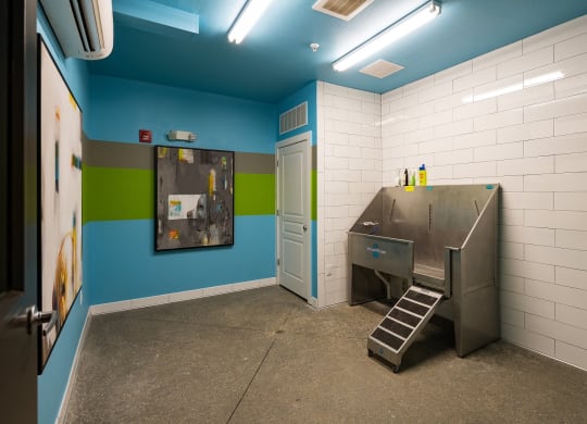 Pet Spa For Your Furry Friend, at The Kirkwood, Atlanta, Georgia