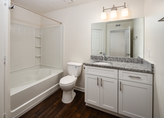 Renovated Apartment Homes