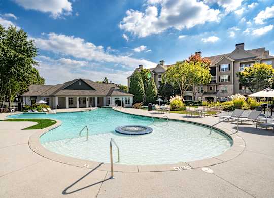 Lagoon Style Pool