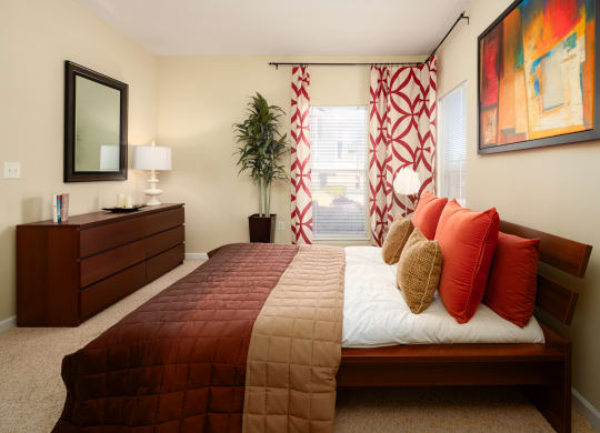 Large Bedrooms with Natural Lighting