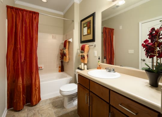 Bathroom with Garden Tub
