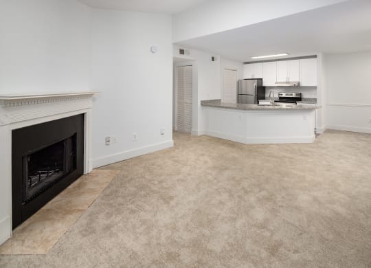 Spacious Living Room