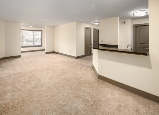 Renovated Apartments
