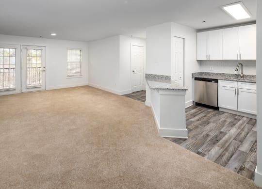 Kitchen and Living Room
