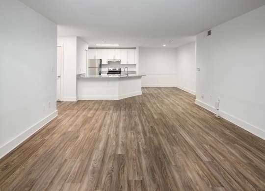 Living Room, Kitchen, and Dining Room