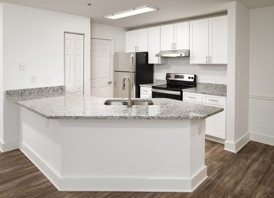 Renovated Kitchen