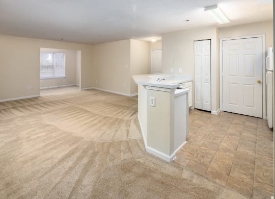 Living Room and Kitchen