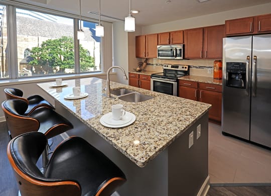 Updated Model Suite at Residences at 1717 Cleveland OH - Kitchen