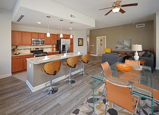 Updated Model Suite with All New LVT Hard Surface Flooring at Residences at 1717 Cleveland OH - Living Area