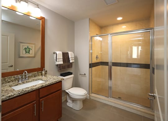 Updated Model Suite at Residences at 1717 Cleveland OH - Master Bathroom