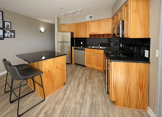 Model Suite Updated Kitchen with All New LVT Hard Surface Flooring - Stonebridge Waterfront in Flats District Cleveland OH