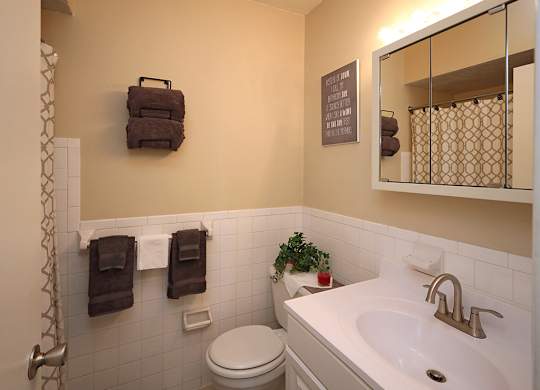 Model Suite Bathroom at Westbrook Village Apartments in Brooklyn OH