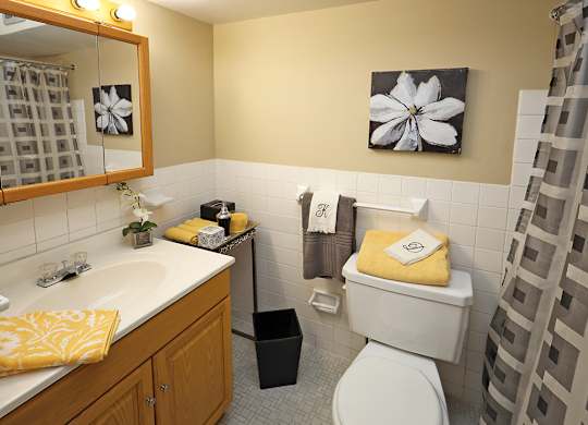 2 Bedroom 1 Bath Model Suite Bathroom at Harbor Crest Apartments in Euclid OH