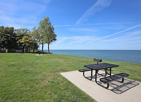 Picnic Area with Tables and Charcoal Grills in Water's Edge Apartments in Euclid OH