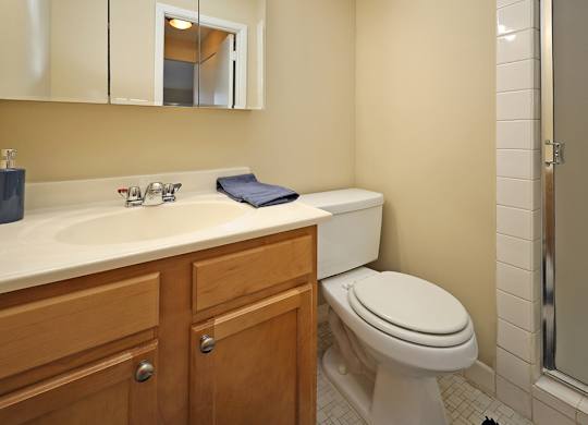 2 Bedroom 2 Bath Model Suite Master Bathroom at Harbor Crest Apartments in Euclid OH