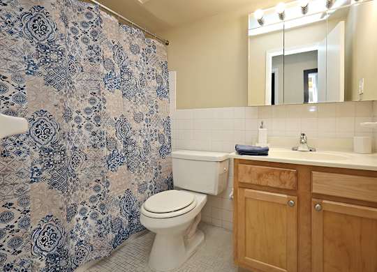 2 Bedroom 2 Bath Model Bathroom at Harbor Crest Apartments in Euclid OH