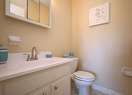 Model Suite Half Bath in Master Suite at Westbrook Village Apartments in Brooklyn OH