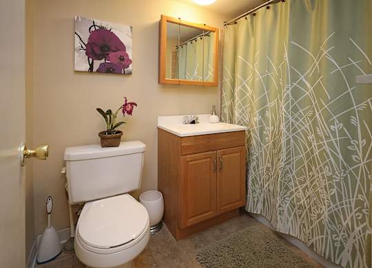 odel Suite Bathroom at Morgan Park Apartments in Euclid OH
