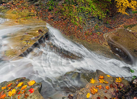 A stream flows over rocks covered in autumn leaves.